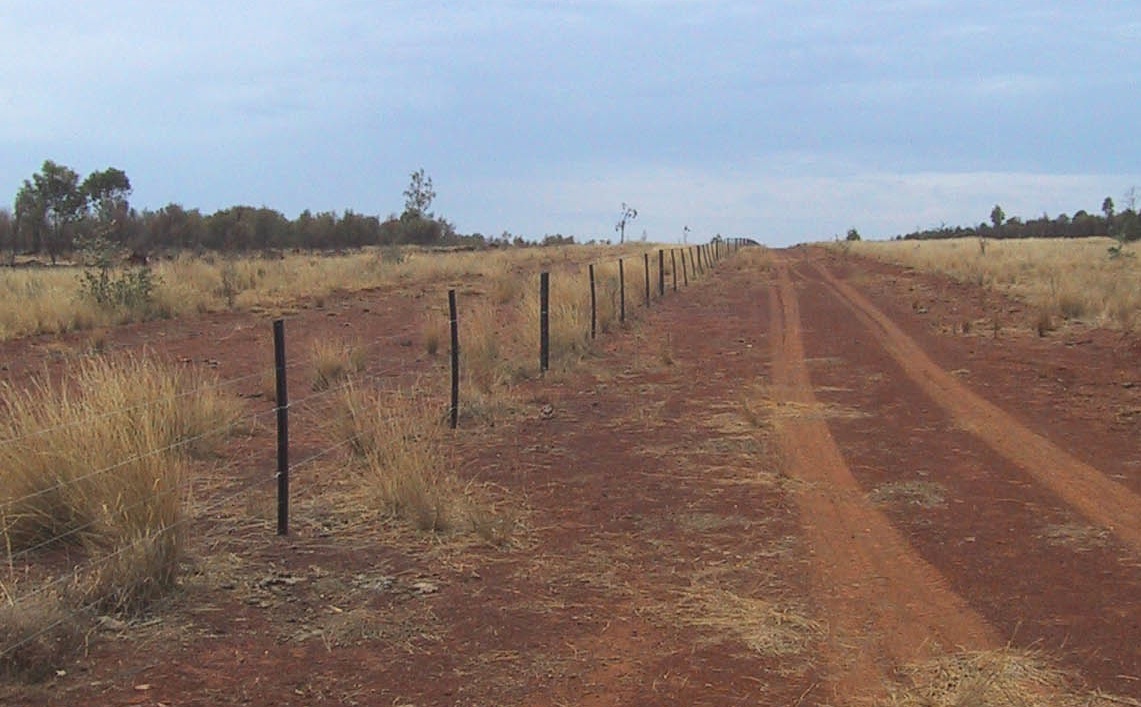 Electric Fence